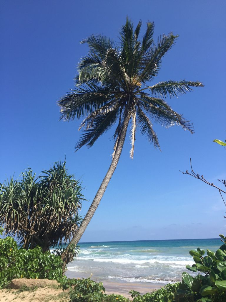 Boutique Ayurveda, Detox & Spa in Sri Lanka Happy Soul