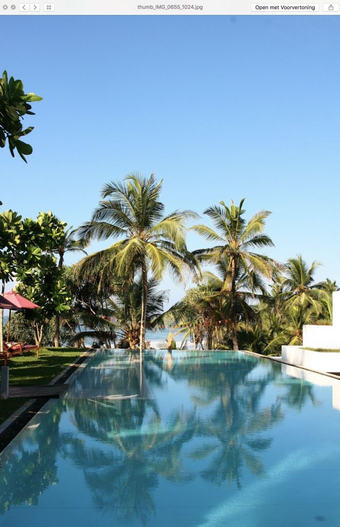 Boutique Ayurveda, Detox & Spa in Sri Lanka Happy Soul Travel