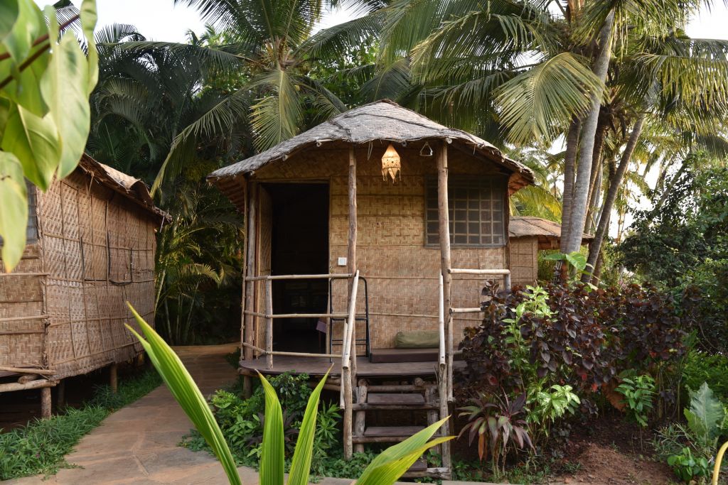 Yoga en Ayurveda in Goa (India) Happy Soul Travel